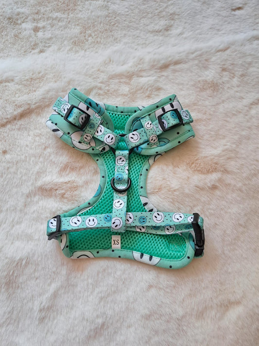 Happy Days harnas - Dachy Pups Boutique, extra productfoto 2 - Happy Dogs Style