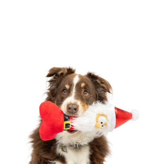 Crazy Santa hondenspeelgoed, extra productfoto 2 - Happy Dogs Style