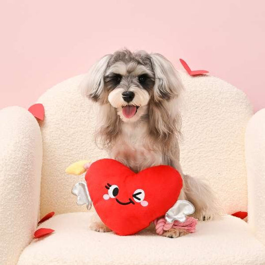 Cupido Hart hondenspeelgoed, extra productfoto 2 - Happy Dogs Style