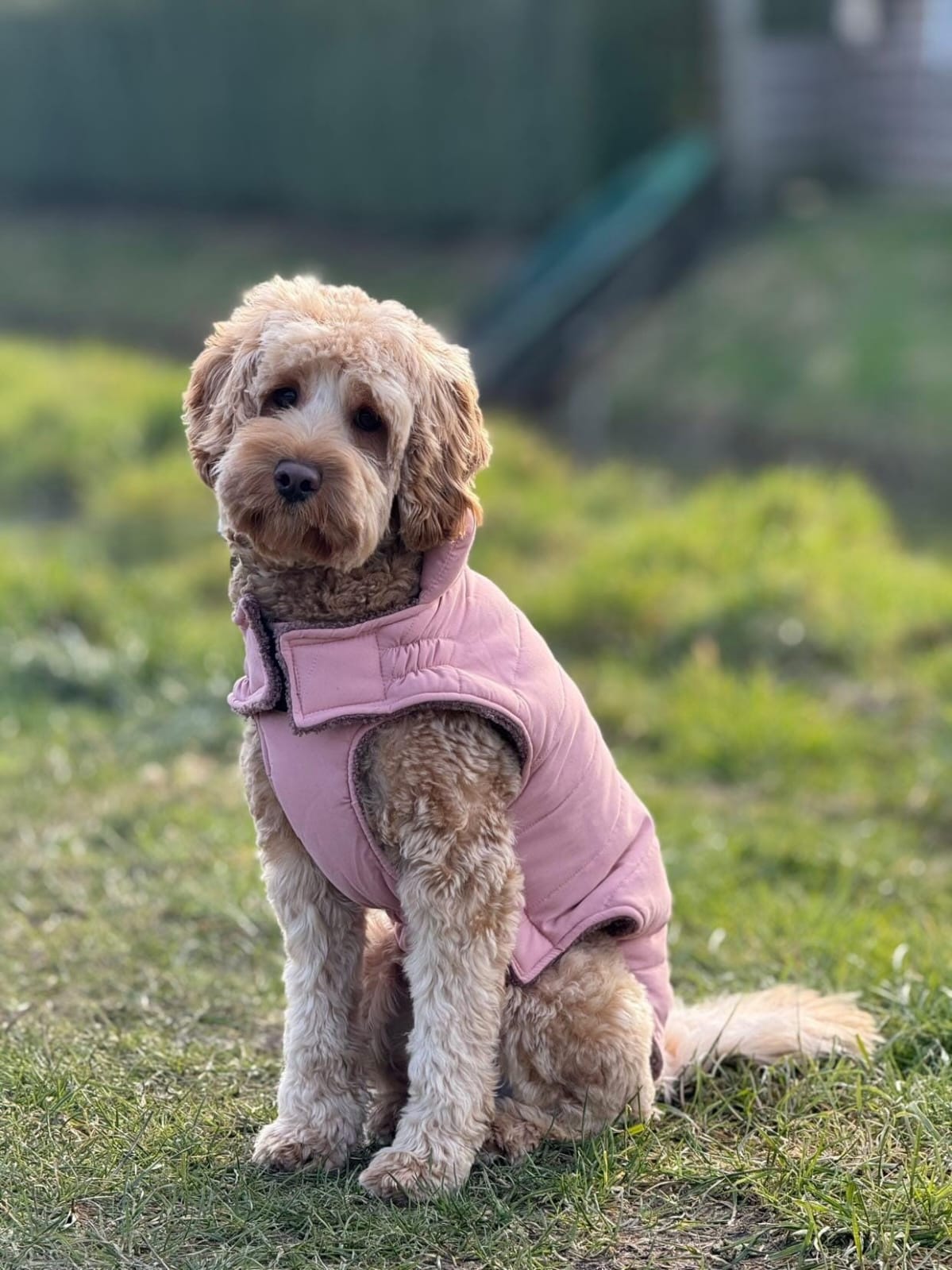 Trixie winterjas lichtroze, extra productfoto 5 - Happy Dogs Style