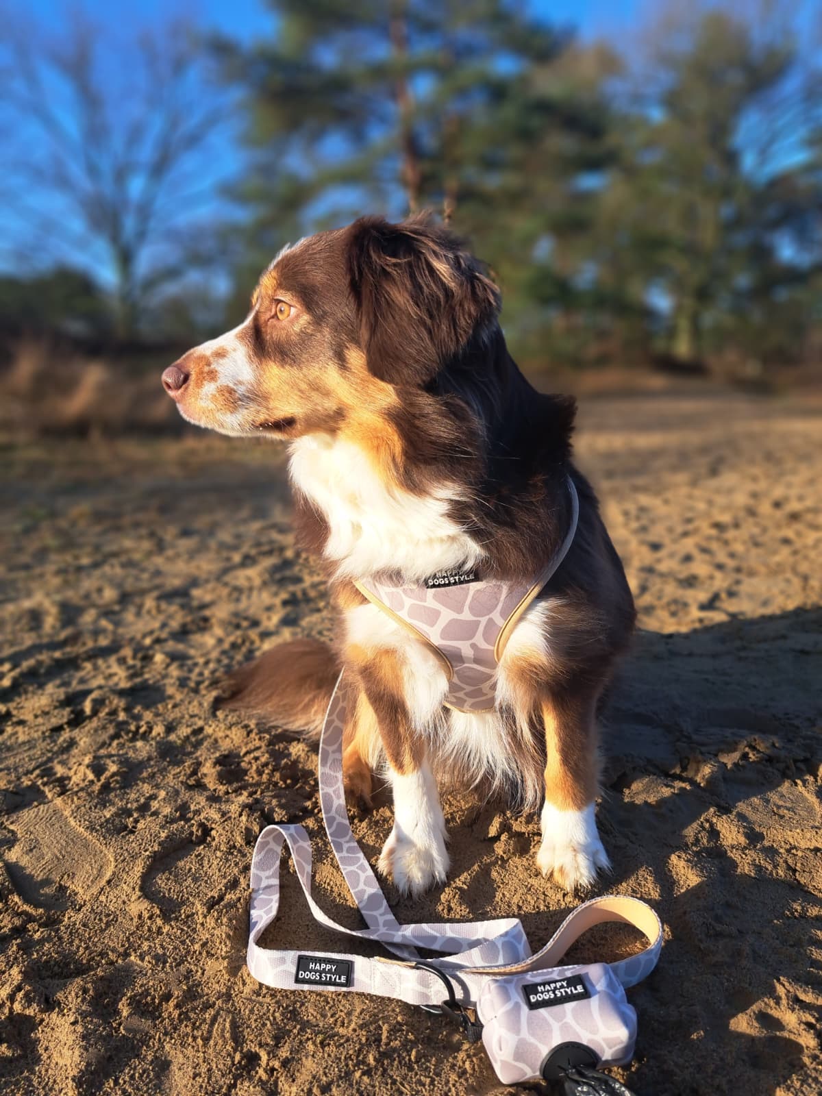 Savanne Beige halsbandset, extra productfoto 4 - Happy Dogs Style
