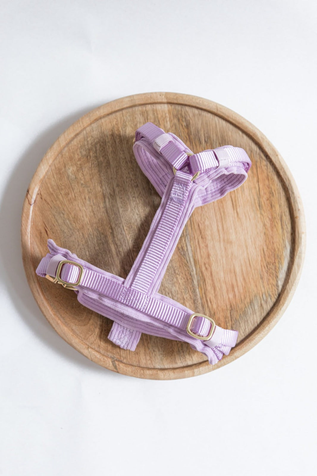 Lovely Lavender corduroy harnas, extra productfoto 2 - Happy Dogs Style