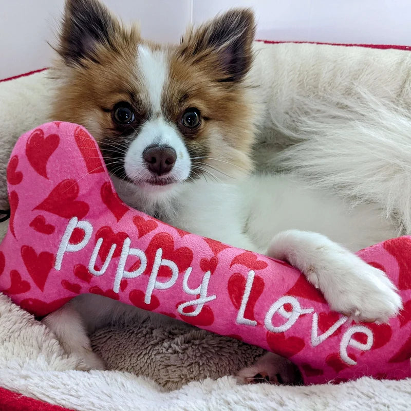 My Puppy Love Bone XL