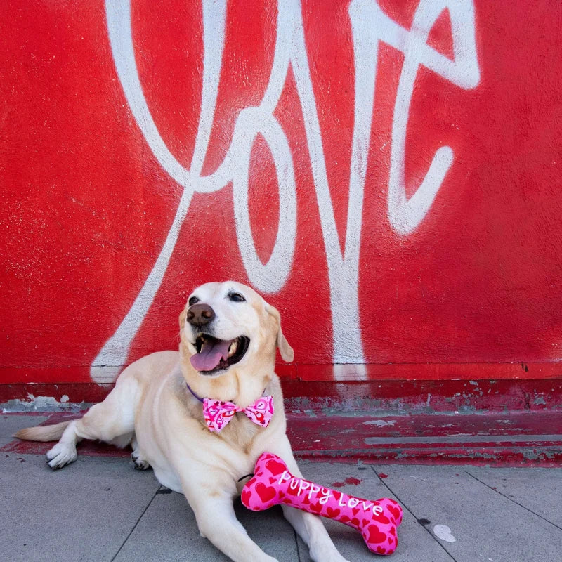 My Puppy Love Bone XL