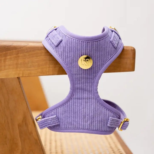 Corduroy Lila harnas - Moni & Me - Happy Dogs Style