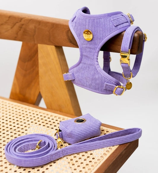 Corduroy Lila harnas - Moni & Me, extra productfoto 2 - Happy Dogs Style