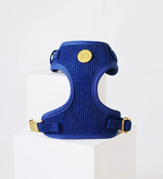 Corduroy Blauw harnas - Moni & Me - Happy Dogs Style