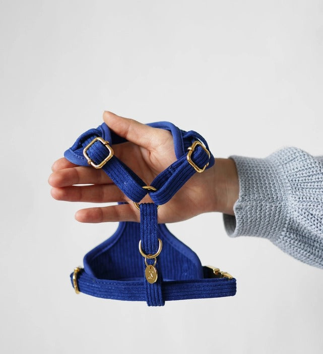 Corduroy Blauw harnas - Moni & Me, extra productfoto 3 - Happy Dogs Style