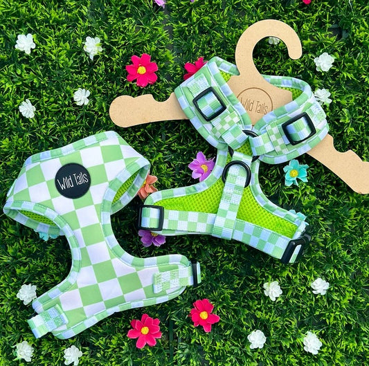 Groen Geruit harnas - Wild Tails, extra productfoto 2 - Happy Dogs Style