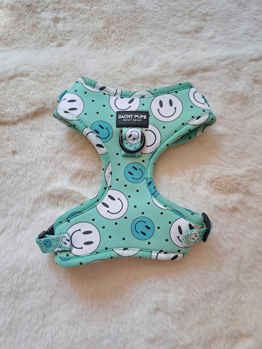 Happy Days harnas - Dachy Pups Boutique - Happy Dogs Style