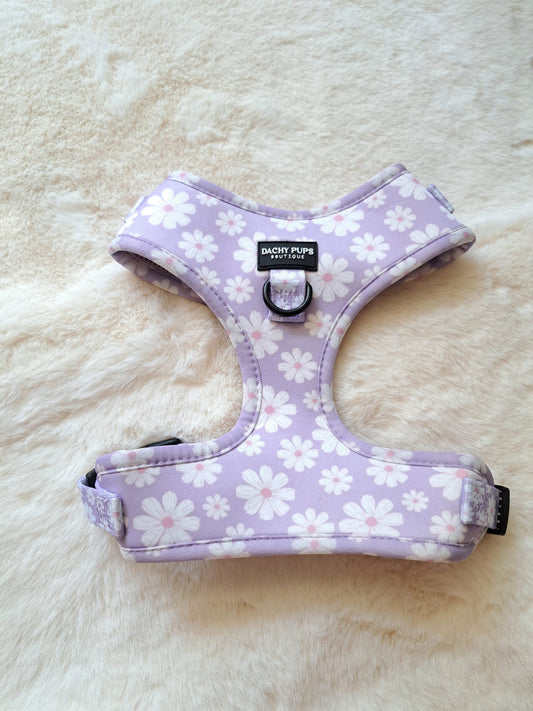 Ditsy Dreams harnas - Dachy Pups Boutique - Happy Dogs Style