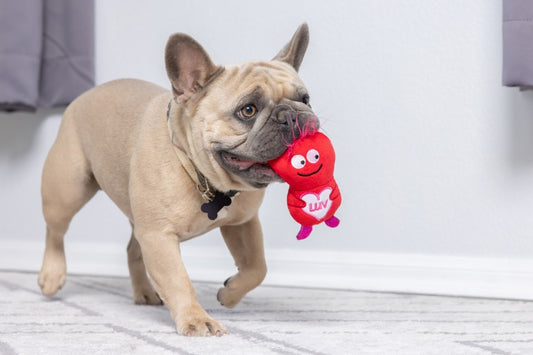 Love Bugs hondenspeelgoed, extra productfoto 2 - Happy Dogs Style