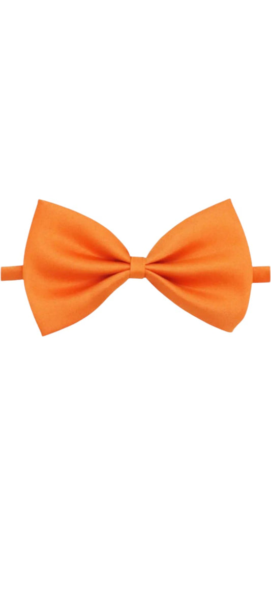 Strik oranje - Happy Dogs Style