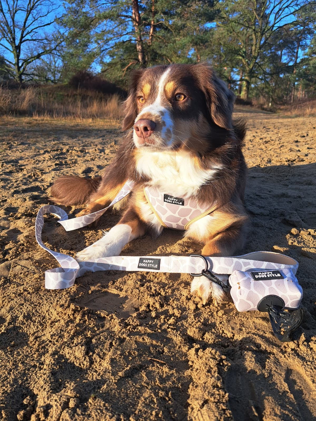 Savanne Beige halsbandset, extra productfoto 3 - Happy Dogs Style