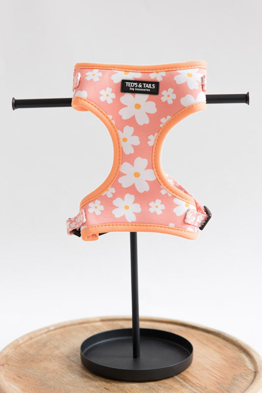 Full of Flowers harnas - Happy Dogs Style