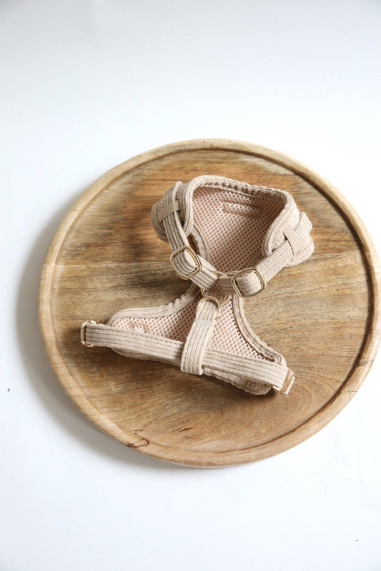 Corduroy harnas Blissful Beige, extra productfoto 2 - Happy Dogs Style