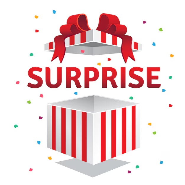 Surprise Box - Snacks - Happy Dogs Style