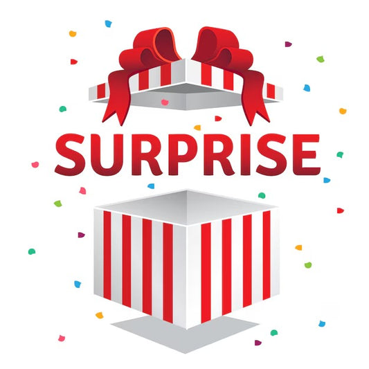 Surprise Box - Verrijking hondenverrijking - Happy Dogs Style