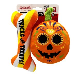 halloween pompoen