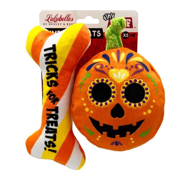 halloween pompoen