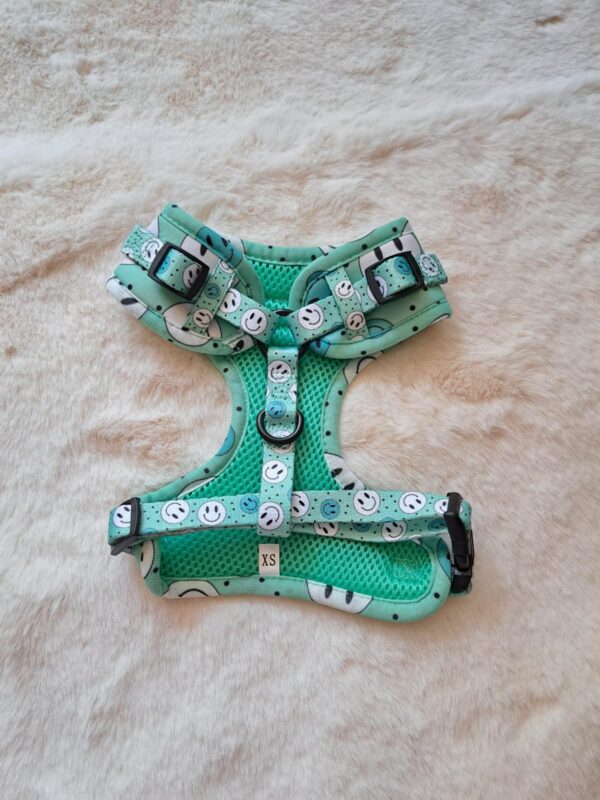 Happy Days harnas - dachy pups boutique - Afbeelding 2