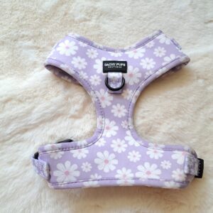 Ditsy Dreams harnas - dachy pups boutique