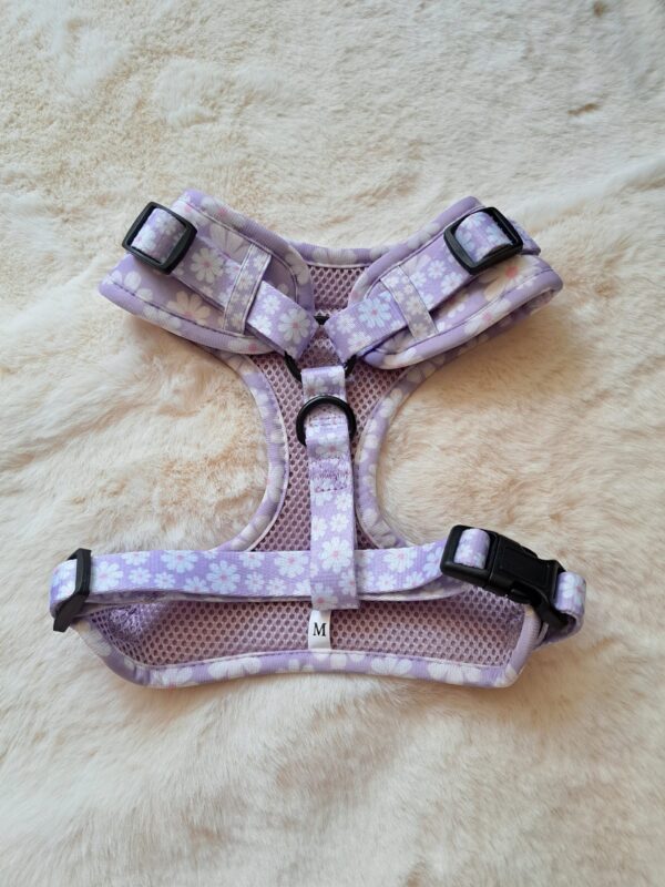 Ditsy Dreams harnas - dachy pups boutique - Afbeelding 2