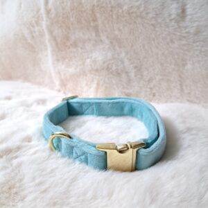 velvet halsband blauw