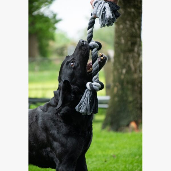 Floss Boss flostouw - Afbeelding 2