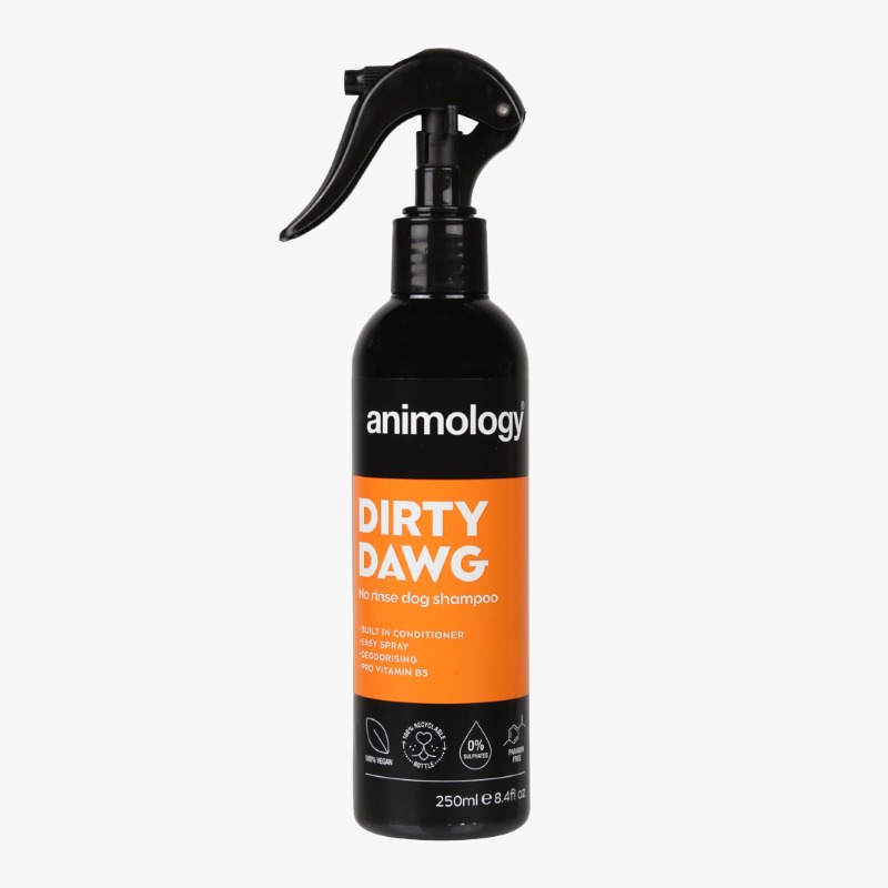 no rinse shampoo dirty dawg