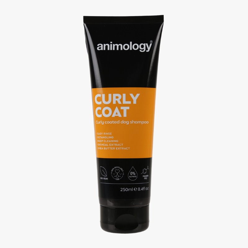 curly coat shampoo