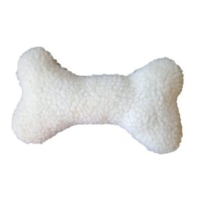 teddy botje