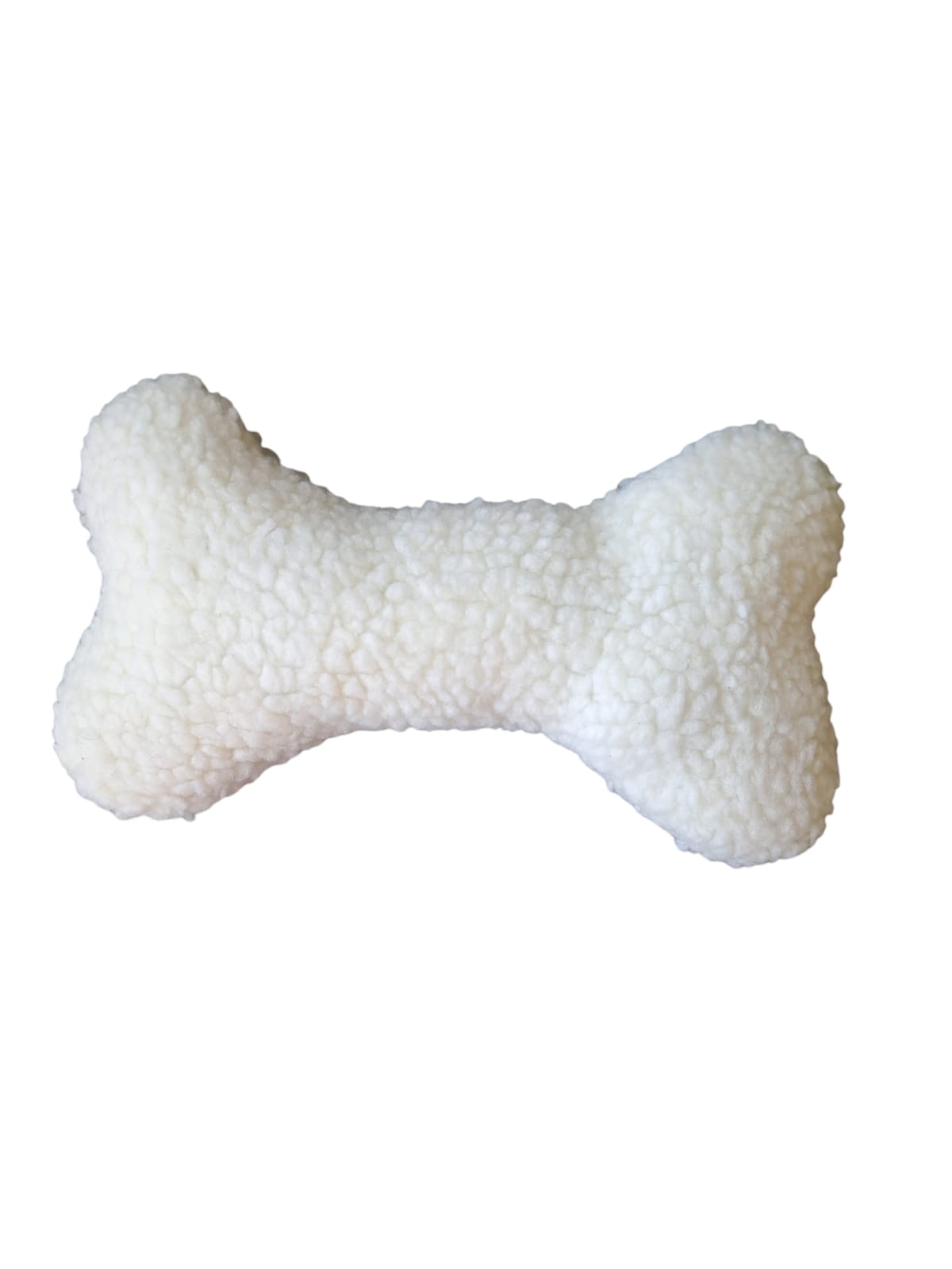 teddy botje