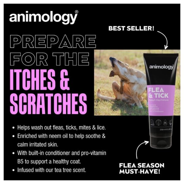 Flea and tick shampoo - Afbeelding 2