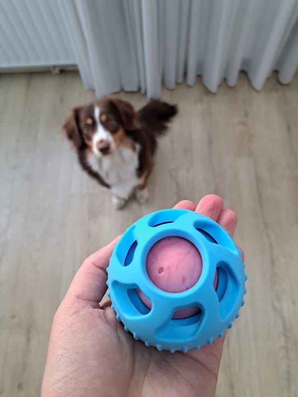 bevroren snack bal - Afbeelding 3