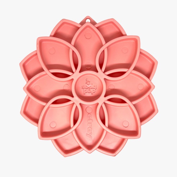 Sodapup Mandala etray- roze