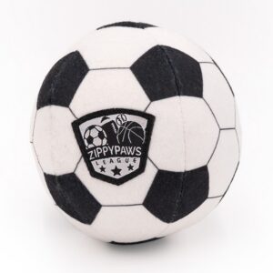 voetbal