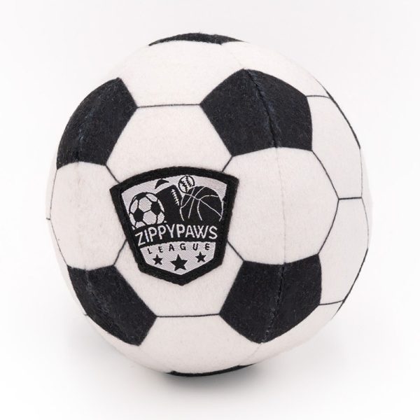 voetbal