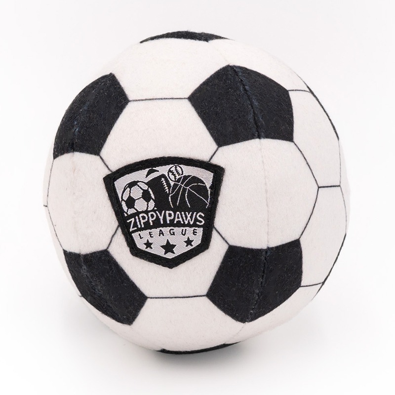 voetbal