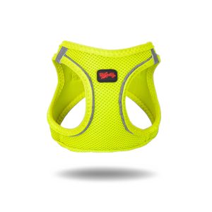 Air Mesh harnas limoen groen
