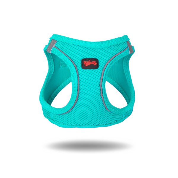 Air Mesh harnas oceaan Blauw