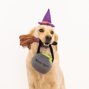 Dog Halloween kostuum Heks