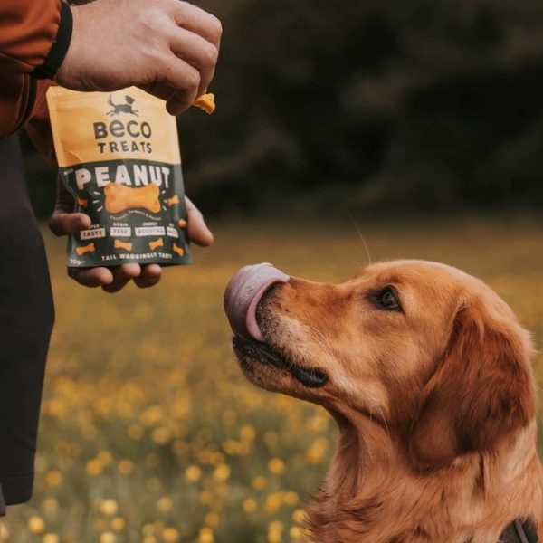 Beco Treats - pinda met kokosnoot en kurkuma - Afbeelding 4