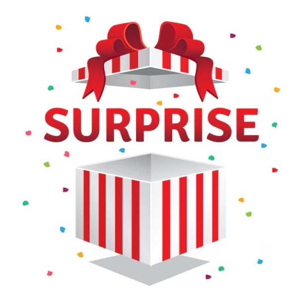 Surprise Box - Speelgoed
